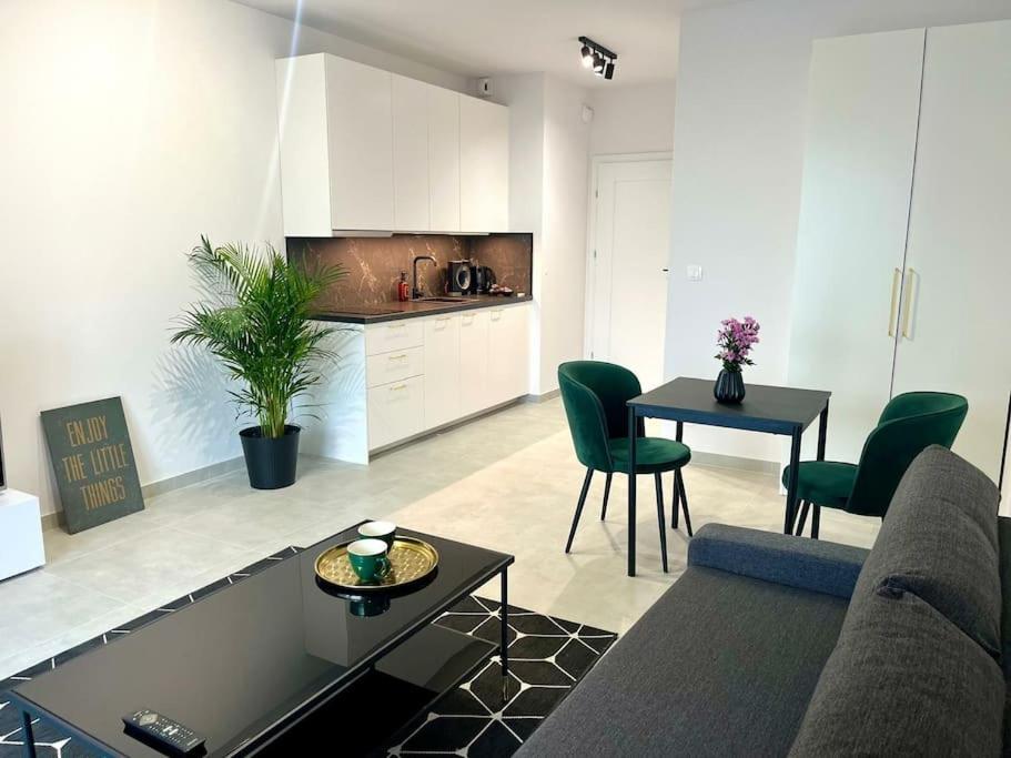 New 69 Apartment Szybowcowa Centre Katowice Free Parking Zewnętrze zdjęcie